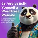 WordPress - So You've Built A WP Website (Free)
